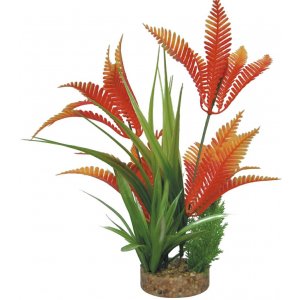 HAQUOSS PHYTOS 21 - 6x6x23h cm